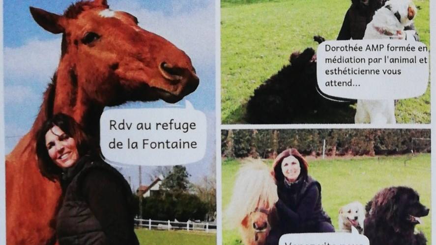  La Fontaine (Bretagne, Ille-et-Vilaine)