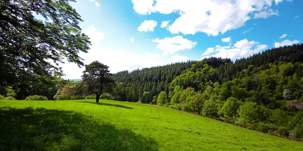  La Villa Jacques (Occitanie, Tarn)