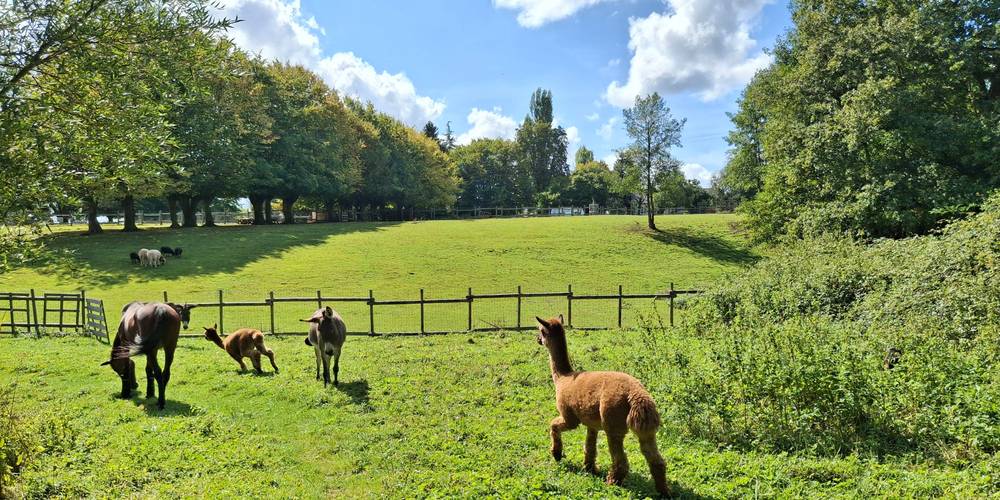 Vue d'en bas -  La petite Bray'tagne educational farm (Hauts-de-France, Oise)