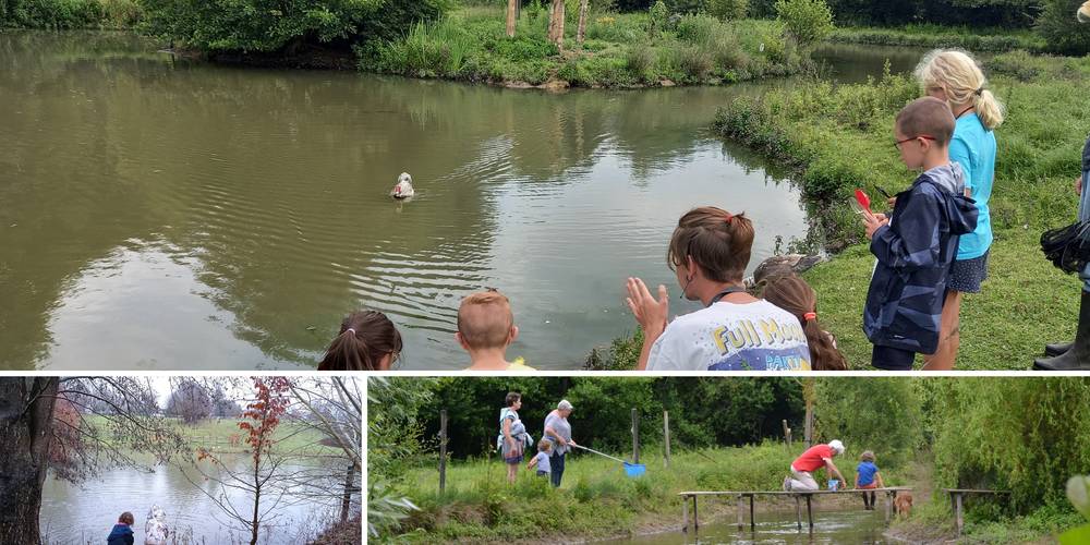 Activités autour de l'étang -  La petite Bray'tagne educational farm (Hauts-de-France, Oise)
