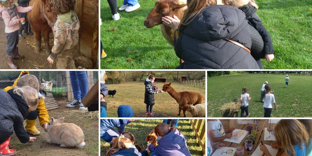 Approche des animaux, activités manuelles -  La petite Bray'tagne educational farm (Hauts-de-France, Oise)
