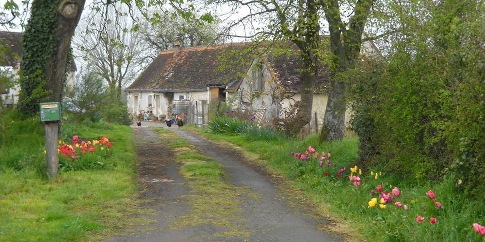  La Ferme du Catichon (Centre-Val de Loire, Indre-et-Loire)