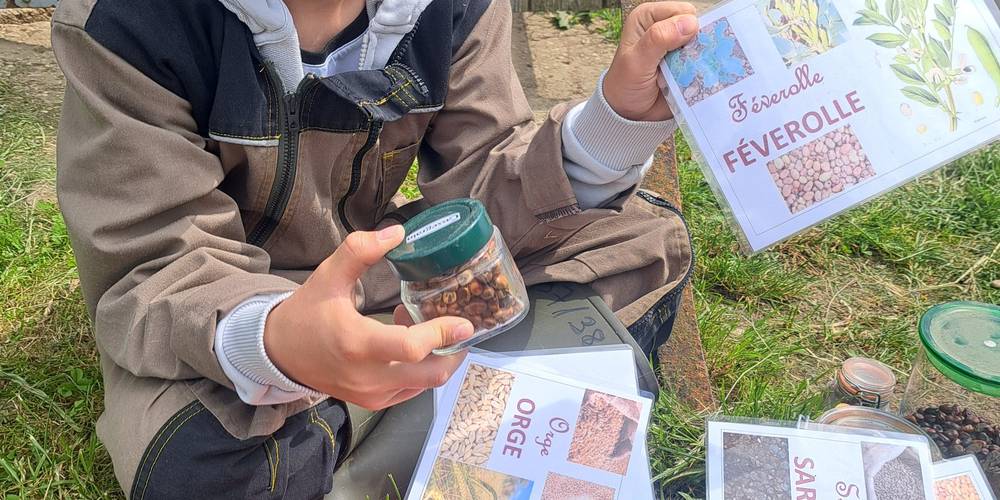 Atelier découverte des graines -  LAMA RANATHA (Grand Est, Meuse)
