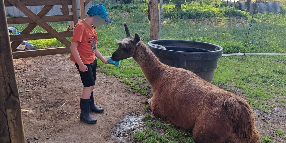  LAMA RANATHA (Grand Est, Meuse)