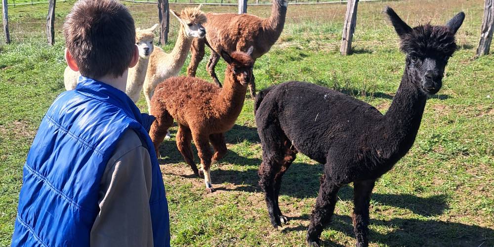  LAMA RANATHA (Grand Est, Meuse)