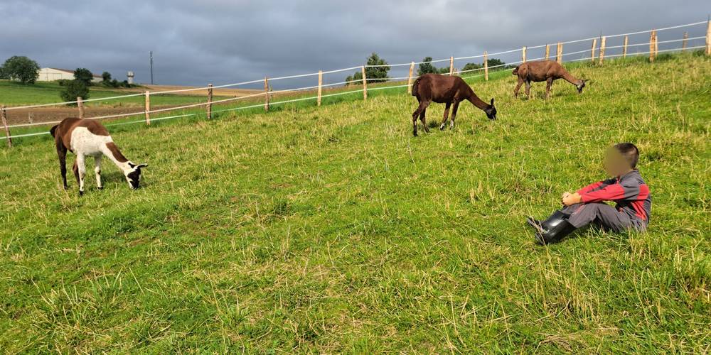 Contemplation.... -  LAMA RANATHA (Grand Est, Meuse)