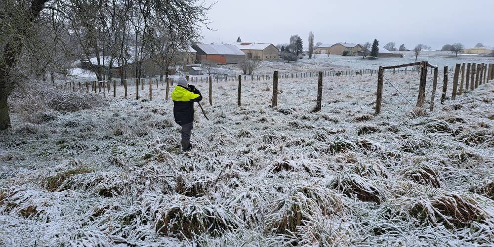 Un peu d'exercice du haut du terrain et vous serez récompensés par une belle vue sur le village d'Evres -  LAMA RANATHA (Grand Est, Meuse)