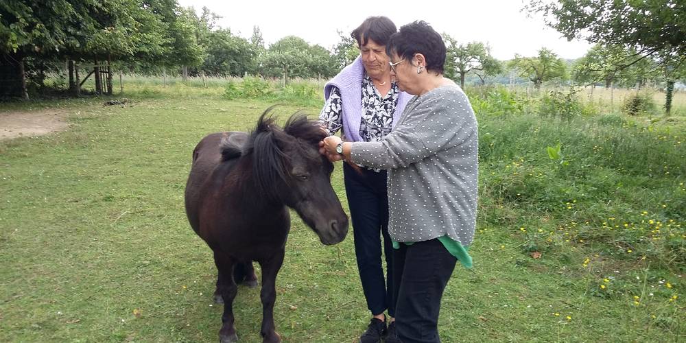Choupette la ponnette -  La Grande Maison (Normandie, Orne)