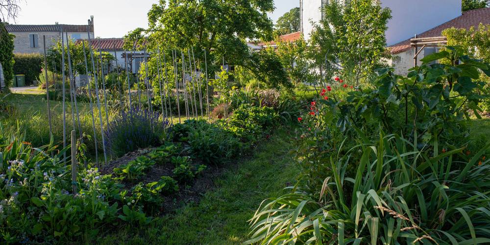  L'Accueillette d'Oléron (Nouvelle-Aquitaine, Charente-Maritime)
