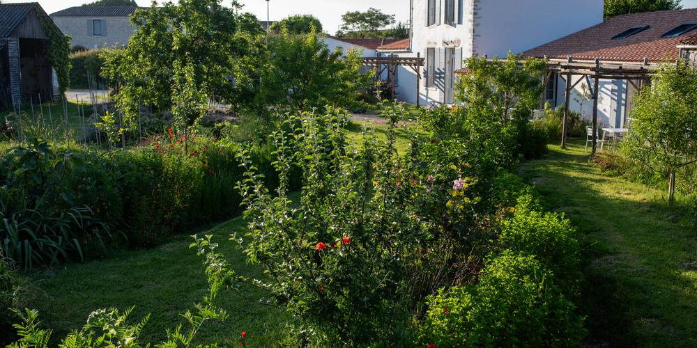  L'Accueillette d'Oléron (Nouvelle-Aquitaine, Charente-Maritime)