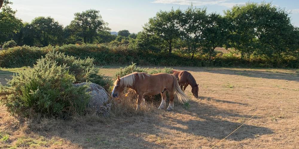  Ferme Ma Zadoù (Bretagne, Côtes-d'Armor)