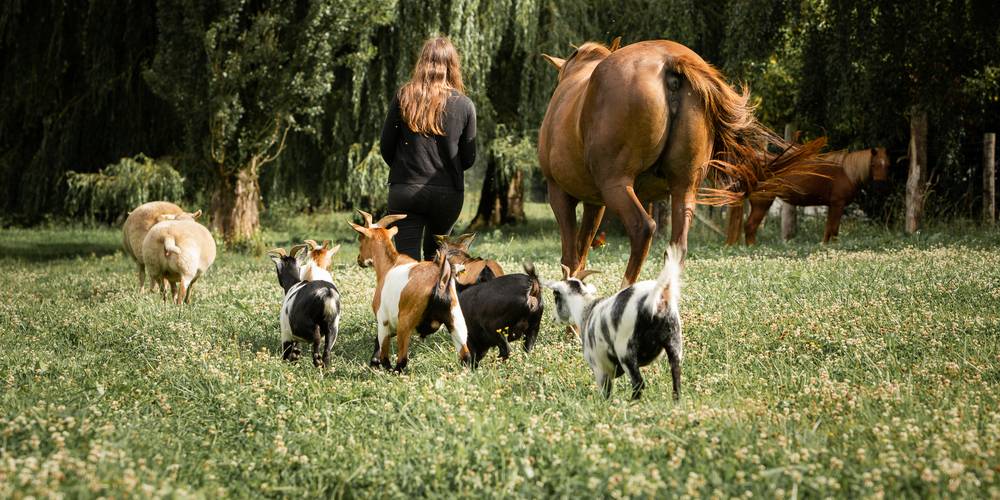 Terr'avie -  Terr'avie (Pays de la Loire, Mayenne)