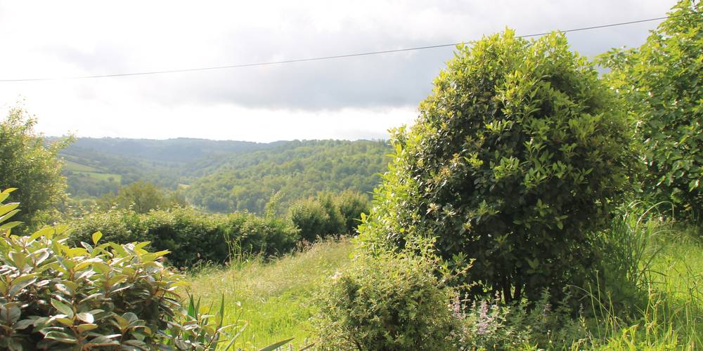  Une sorcière sur le toit** (Occitanie, Aveyron)