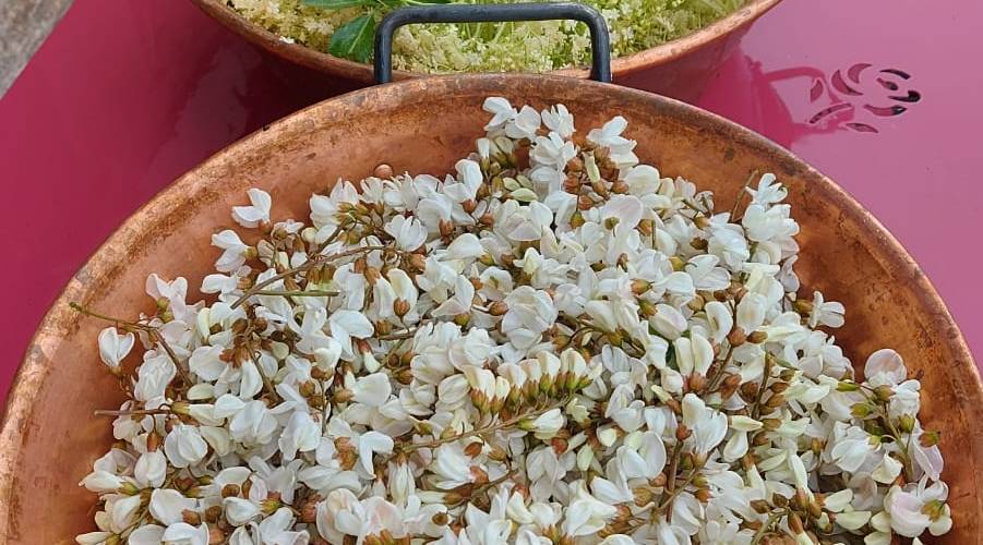  Une sorcière sur le toit** (Occitanie, Aveyron)