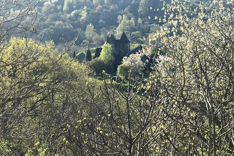  Une sorcière sur le toit** (Occitanie, Aveyron)