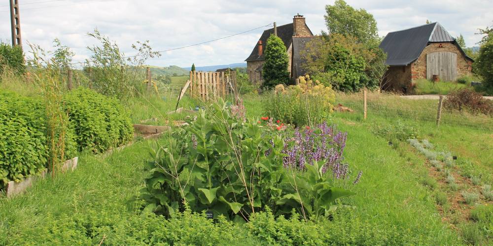  Une sorcière sur le toit** (Occitanie, Aveyron)