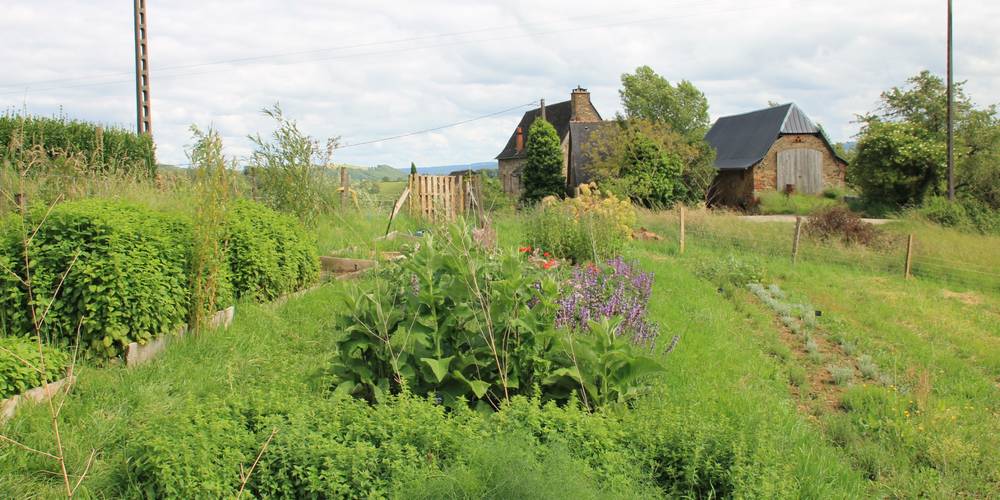  Une sorcière sur le toit** (Occitanie, Aveyron)