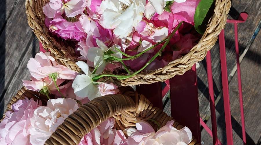  Une sorcière sur le toit** (Occitanie, Aveyron)