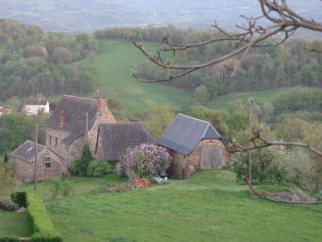  Une sorcière sur le toit** (Occitanie, Aveyron)