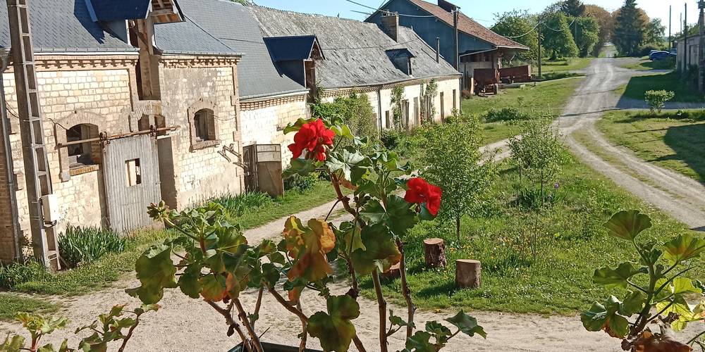 Vue sur la cour -  La Folia - Ferme de Lucquy (Grand Est, Ardennes)