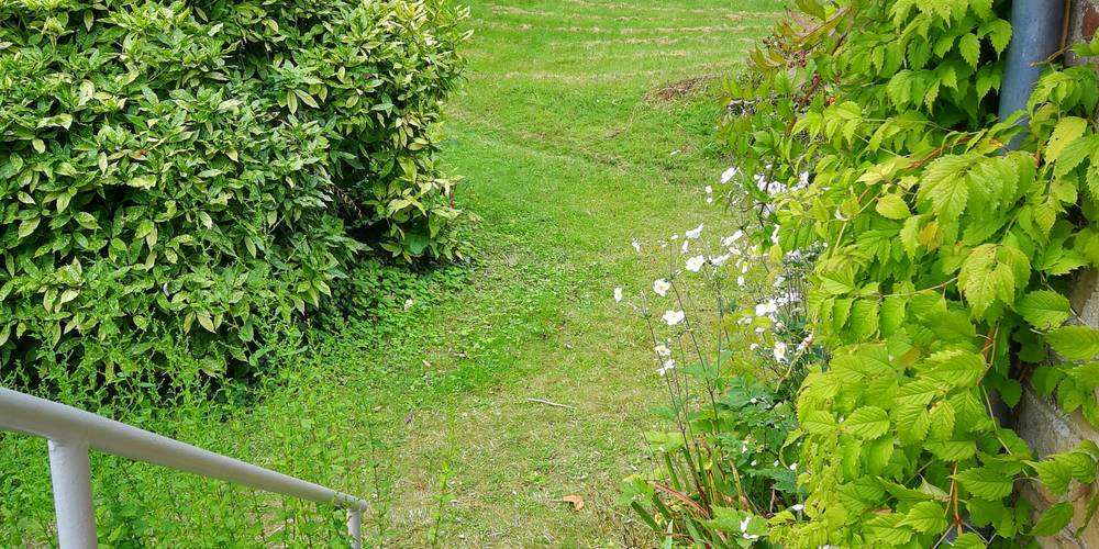 Vers le jardin -  La Folia - Ferme de Lucquy (Grand Est, Ardennes)
