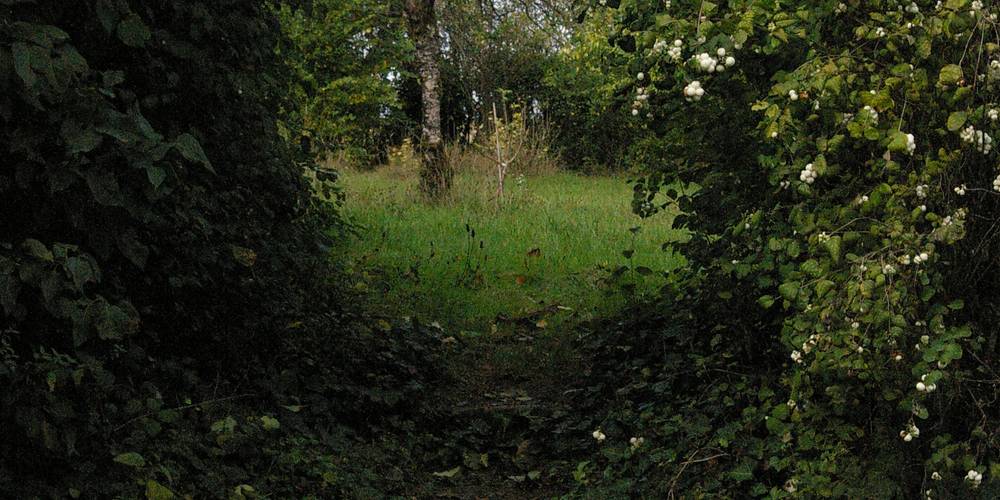 Vers le potager -  La Folia - Ferme de Lucquy (Grand Est, Ardennes)
