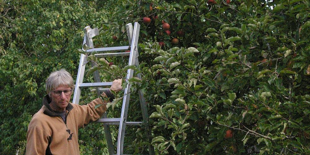  La Folia - Ferme de Lucquy (Grand Est, Ardennes)