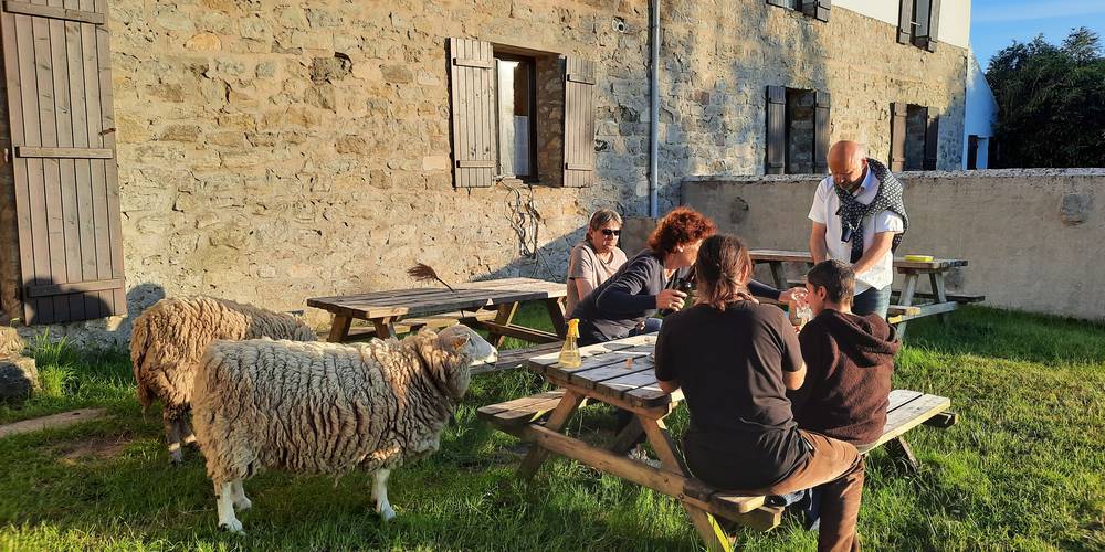 LE JARDIN -  Gites de la mer (Hauts-de-France, Pas-de-Calais)