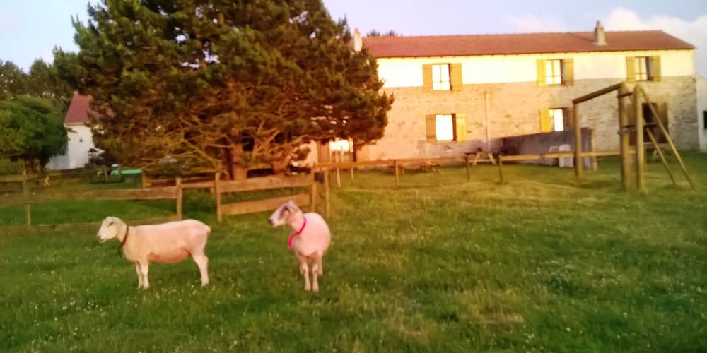 COTE JARDIN -  Gites de la mer (Hauts-de-France, Pas-de-Calais)