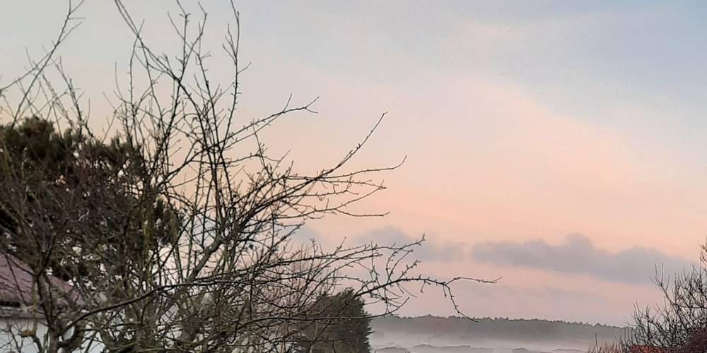 LA VUE COTE JARDIN -  Gites de la mer (Hauts-de-France, Pas-de-Calais)