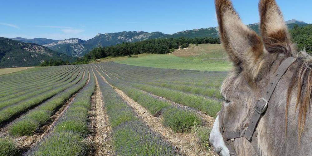  Gîte La Piarra (Auvergne-Rhône-Alpes, Drôme)