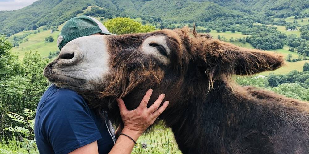  Ecolieu des Milans (Auvergne-Rhône-Alpes, Cantal)