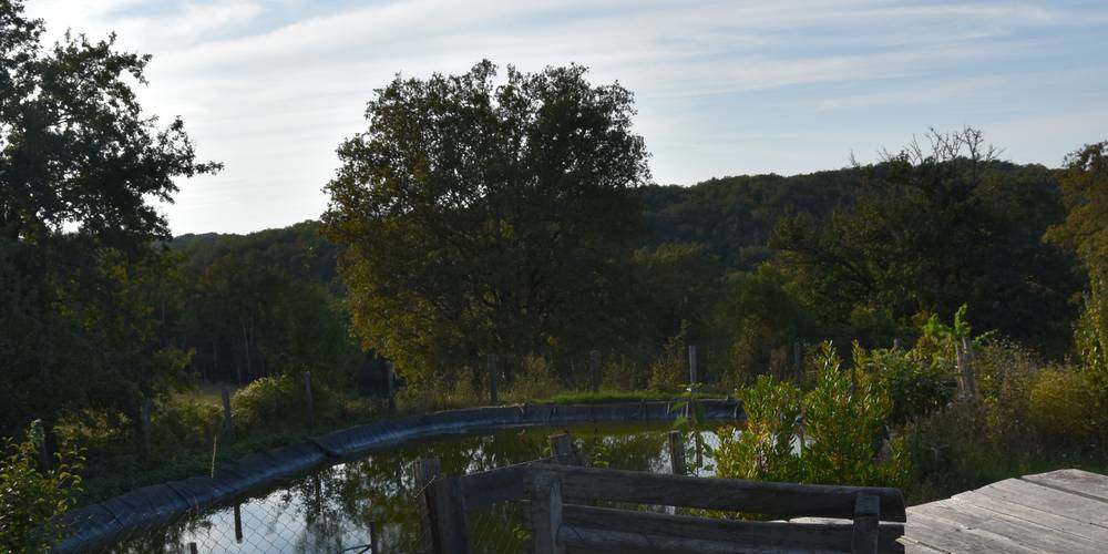 terrasse partagée dans le jardin potager -  Marcilhac's arch (Occitanie, Lot)