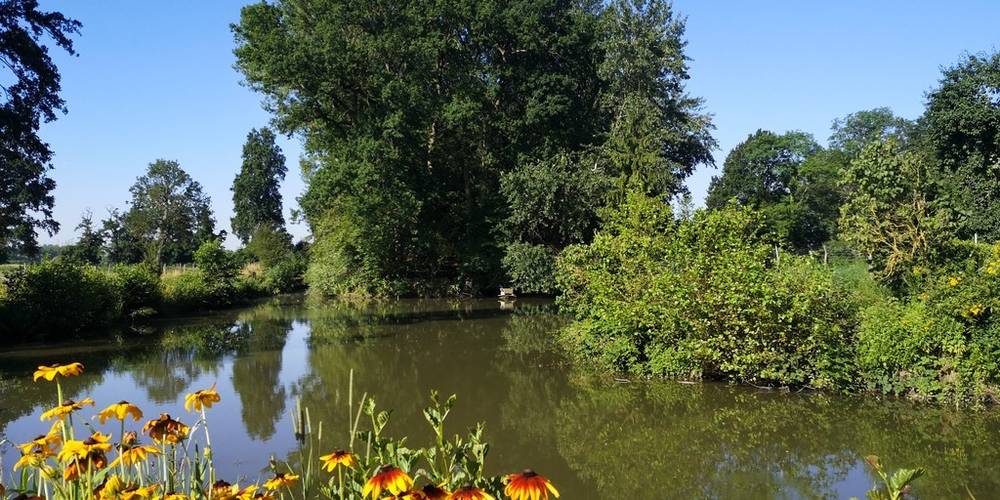  L'Etang Présent (Hauts-de-France, Nord)