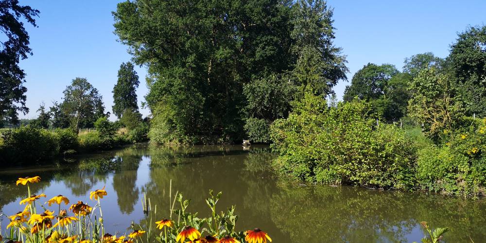  L'Etang Présent (Hauts-de-France, Nord)
