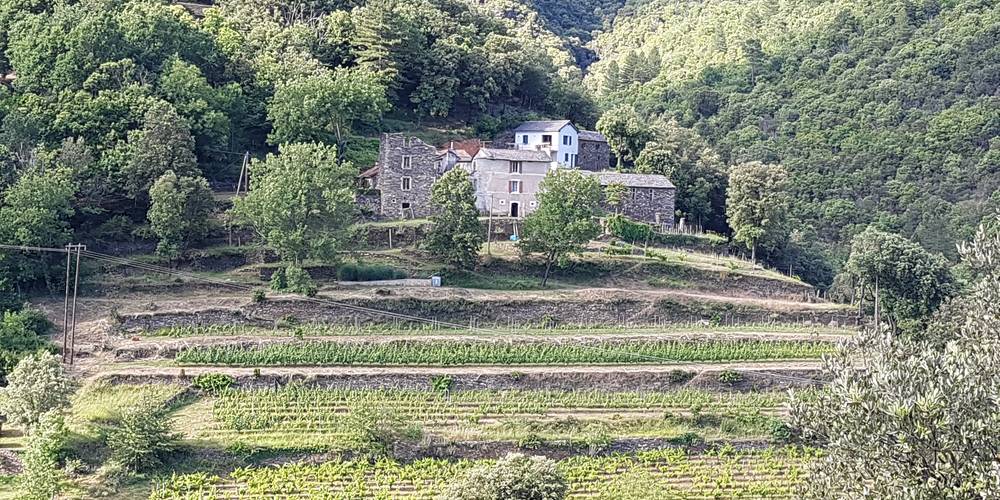 notre domaine viticole -  Le Clos de la Rouvière (Occitanie, Lozère)