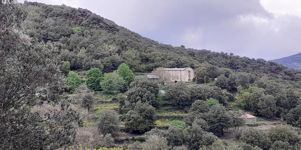 La ferme au milieu des châtaigniers et chênes verts -  Le galabertes (Occitanie, Lozère)