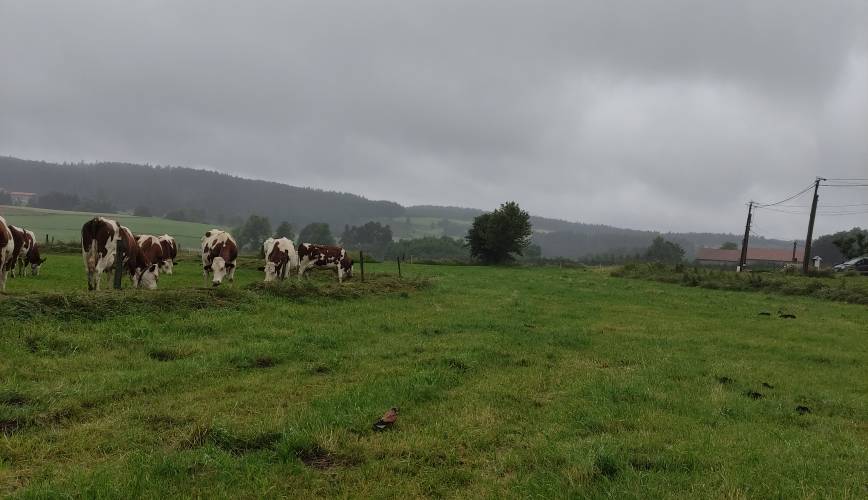  Gîte de la Lune (Auvergne-Rhône-Alpes, Loire)