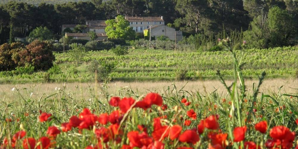 Le Pech d'André (Occitanie, Hérault)