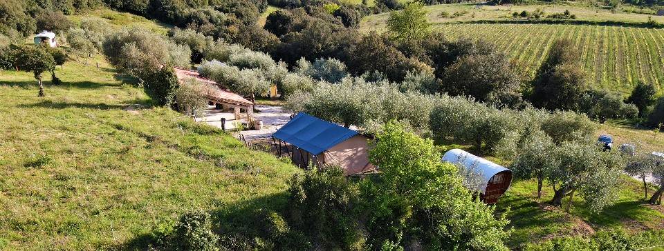 Tente Lodge et terrasse couverte -  Camping de Cucugnan (Occitanie, Aude)