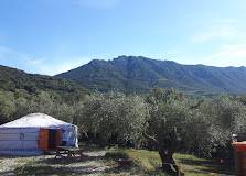 Véritable yourte mongole -  Camping de Cucugnan (Occitanie, Aude)