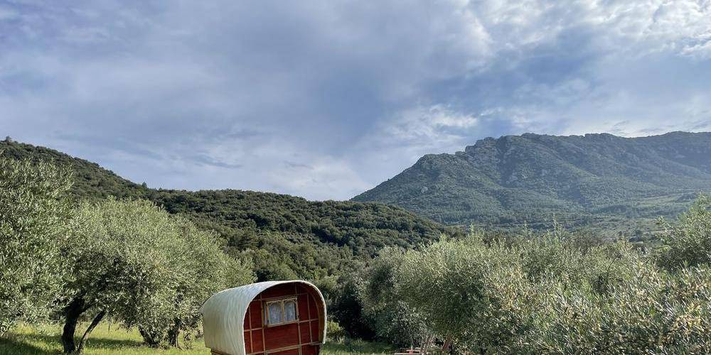 Roulotte Varda, la tzigane du camping -  Camping de Cucugnan (Occitanie, Aude)