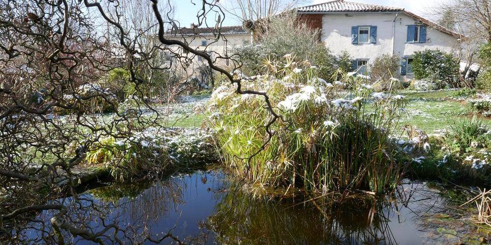de la mare -  Binette et Pinceaux (Occitanie, Ariège)