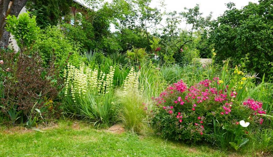  Binette et Pinceaux (Occitanie, Ariège)