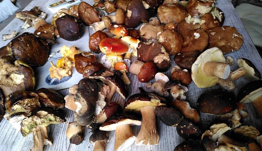  Binette et Pinceaux (Occitanie, Ariège)