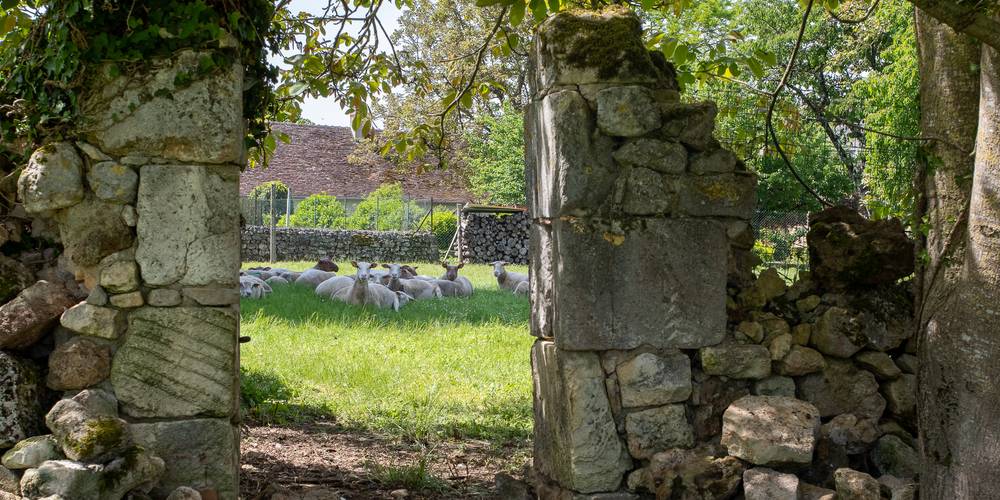  La Bergerie du Logis (Centre-Val de Loire, Indre)