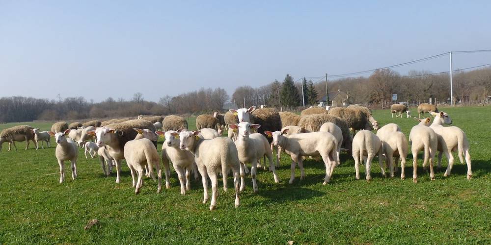  La Bergerie du Logis (Centre-Val de Loire, Indre)