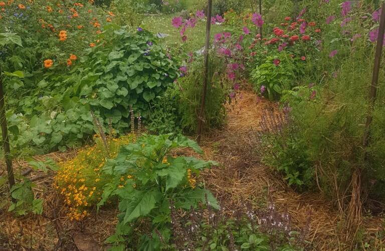  Cabaret des Oiseaux (Pays de la Loire, Maine-et-Loire)