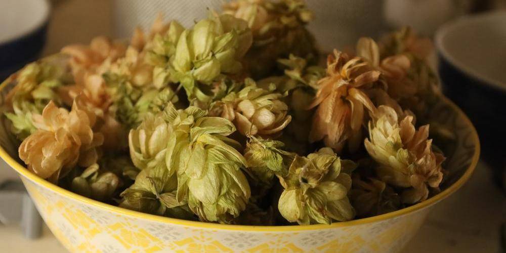  Les Jardins d'Olus (Hauts-de-France, Nord)