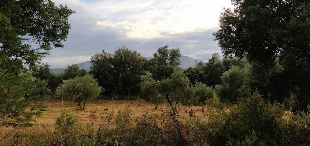  Ferme des Ferriers (Provence-Alpes-Côte d’Azur, Var)
